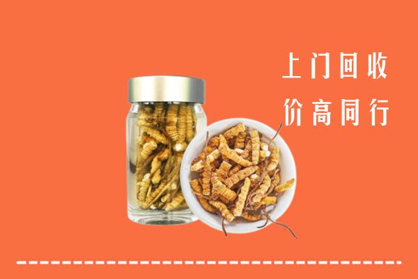 收购行情：营口回收冬虫夏草